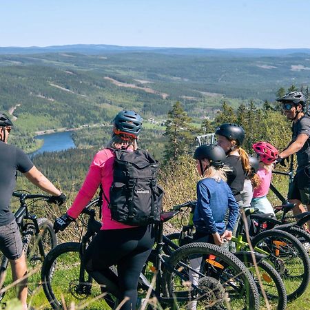 Lyxig Stuga Pa Branaesberget Sysslebäck Exteriör bild