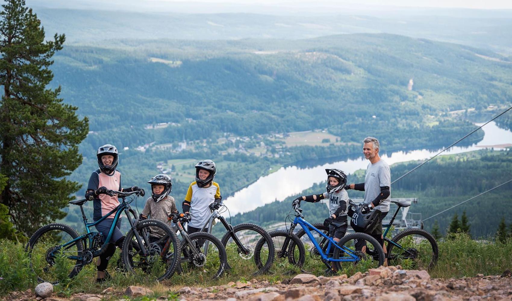 Lyxig Stuga Pa Branaesberget Sysslebäck Exteriör bild