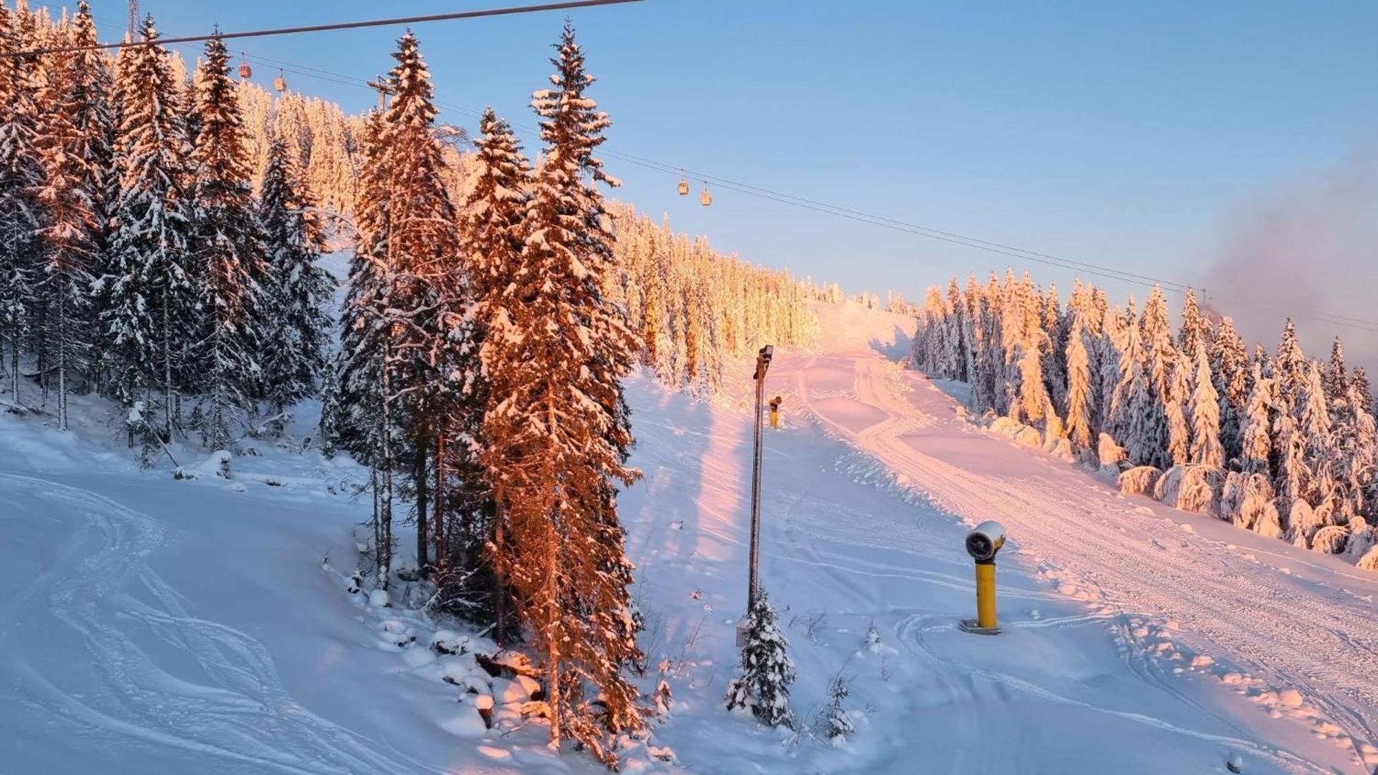 Lyxig Stuga Pa Branaesberget Sysslebäck Exteriör bild