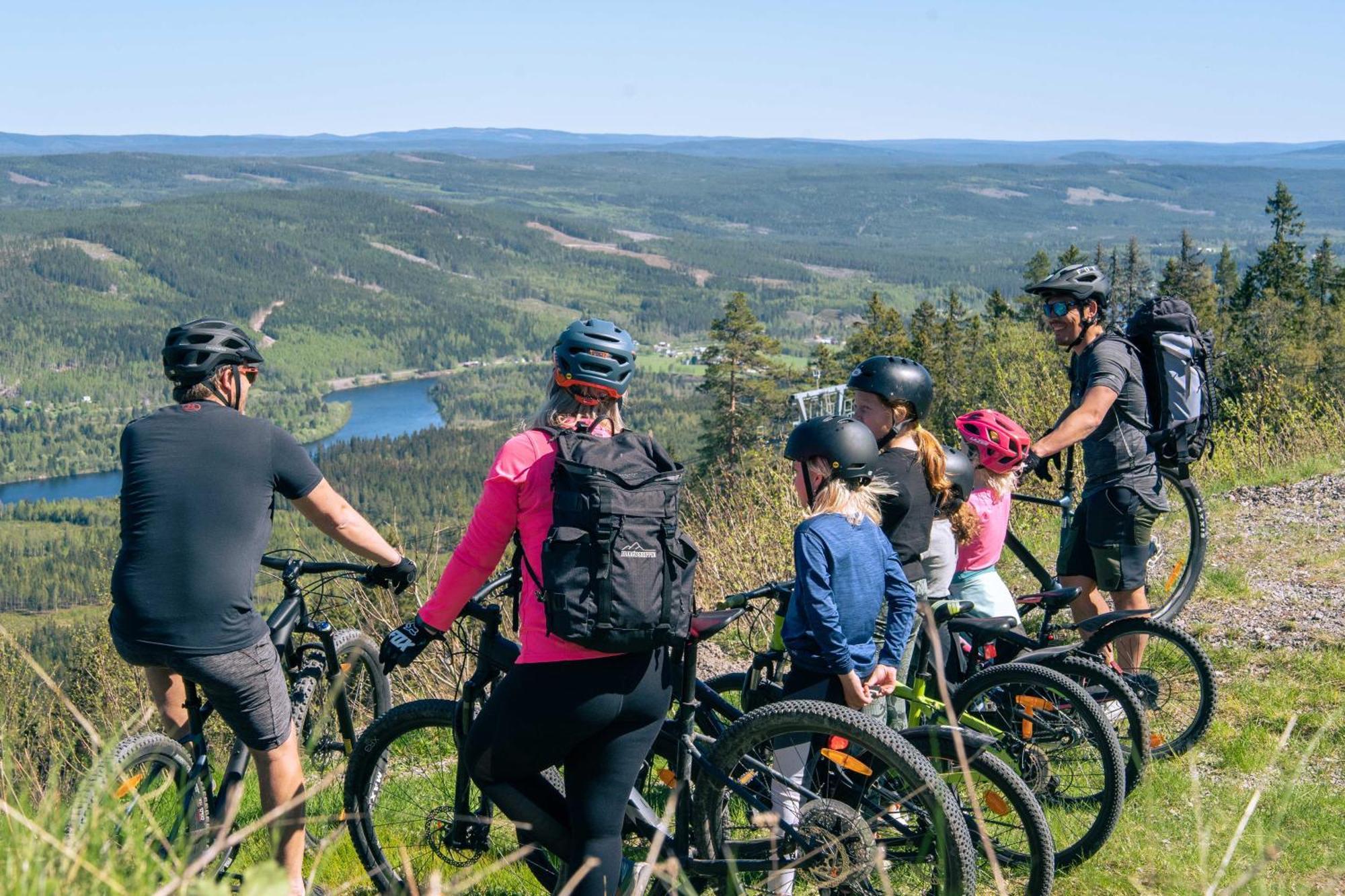 Lyxig Stuga Pa Branaesberget Sysslebäck Exteriör bild